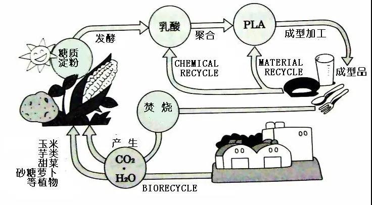 可生物降解環(huán)保塑料可以回收再利用嗎？(圖4)